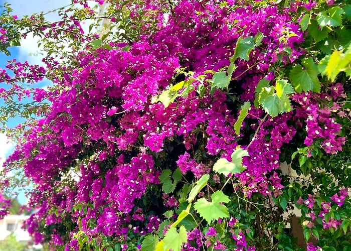 Adriatic Horizon By Tok Apartment